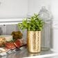 Monogram Fresh-Food Refrigerator in Stainless Steel, , large