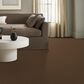 Anderson Tuftex Enchanting Carpet in Bronco, , large