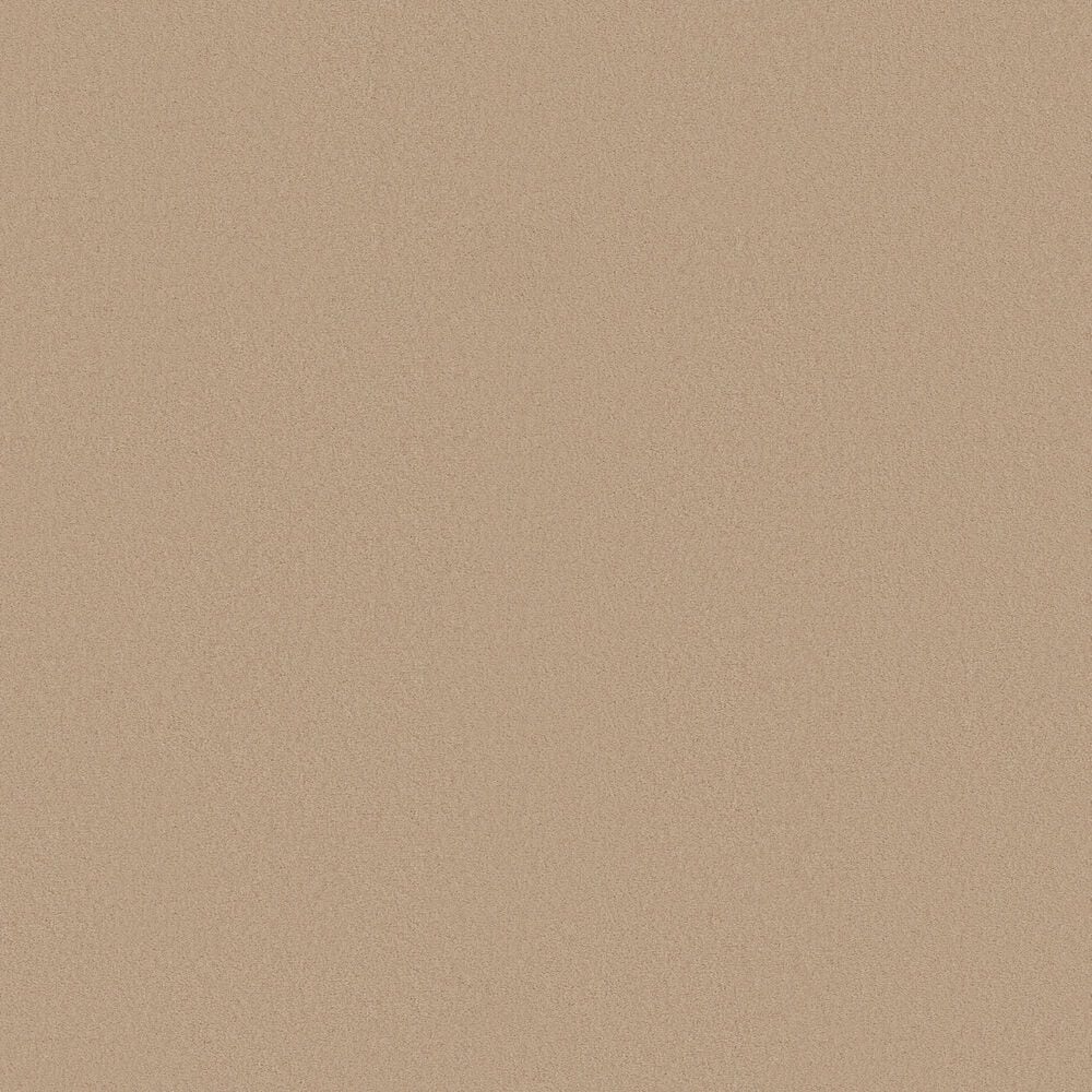 Anderson Tuftex Finery Carpet in Sunkissed, , large