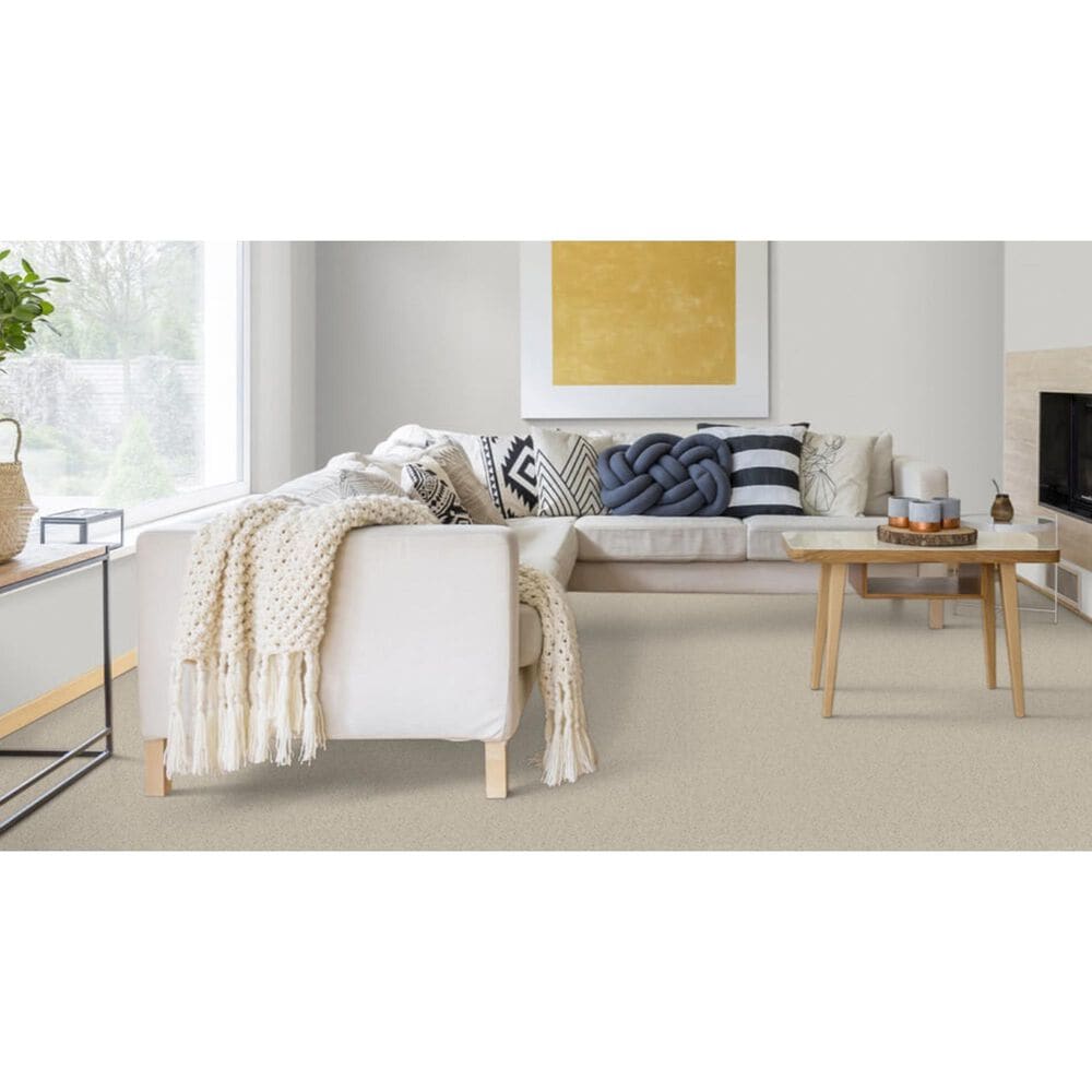 Dixie Home Devotion Carpet in Antique White, , large