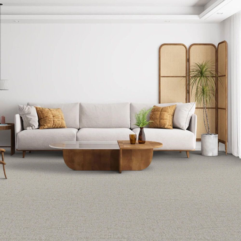 Dixie Home Genuine Carpet in Verified, , large