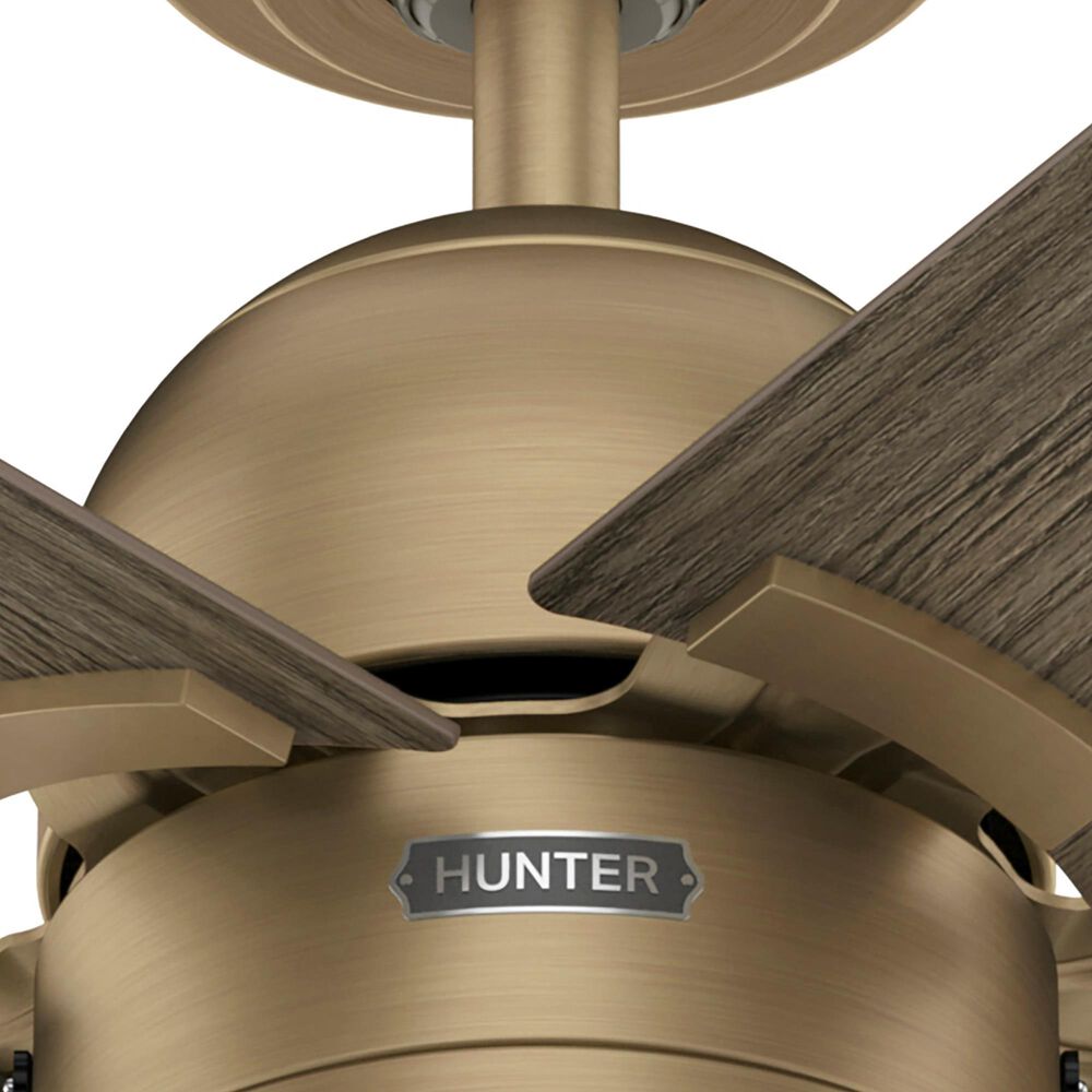 Hunter-Douglas Erling 52&quot; Ceiling Fan with LED Light in Burnished Brass, , large