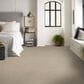Shaw Hard At Play Iii Carpet in Natural, , large