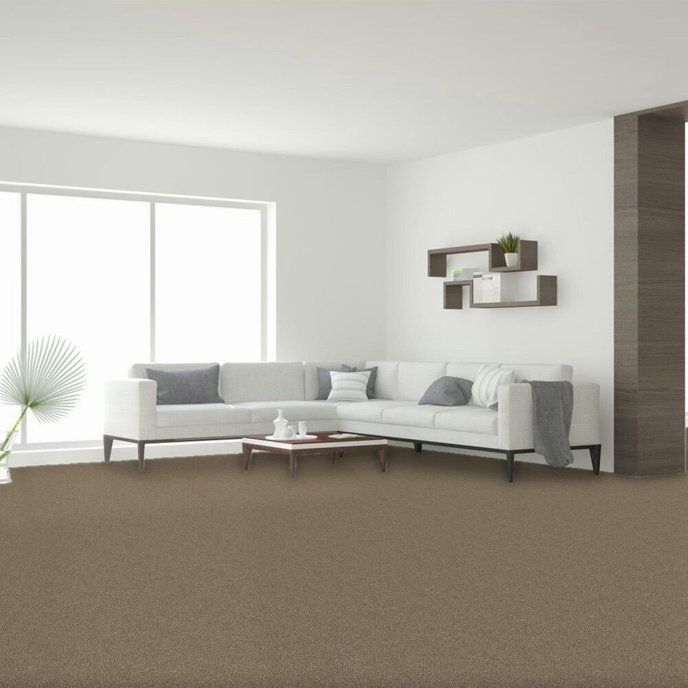 Dream Weaver Luxor II Carpet in Sawgrass, , large