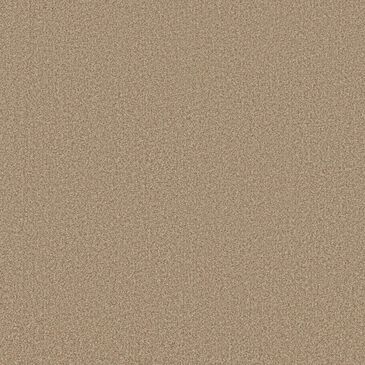 Anderson Tuftex Wyndham Estate Carpet in Filtered Moon, , large