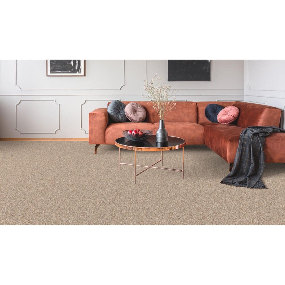 Dixie Home Bella Carpet in Fetch, , large