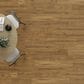 Mannington Adura Rigid Coventry Meadow 7" x 48" Luxury Vinyl Plank, , large