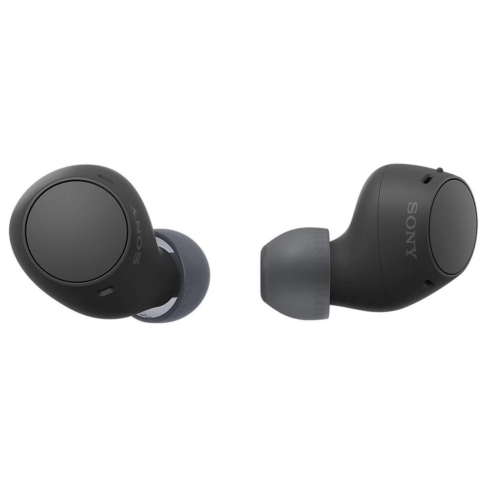 Sony Truly Wireless Earbuds in Black, , large