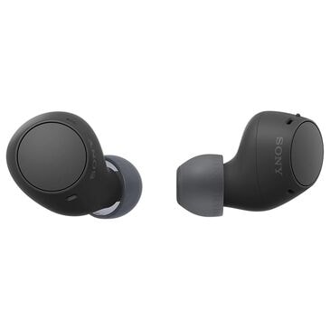 Sony Truly Wireless Earbuds in Black, , large