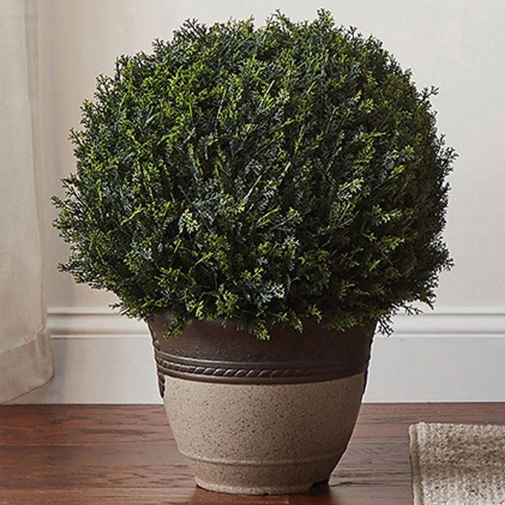 Timberlake Pure Garden 23" Cypress Ball Topiary in Forest Green, , large