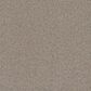 Dream Weaver Serene II Carpet in Cottondale, , large