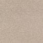 Karastan Soothing Obsession Carpet in Sedona, , large