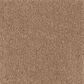 Mohawk Windsor Gardens I Carpet in Glazed Ginger, , large
