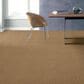 Shaw Acadia Park Carpet in Caramelo, , large