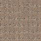Anderson Tuftex Lyric Carpet in Camelback, , large