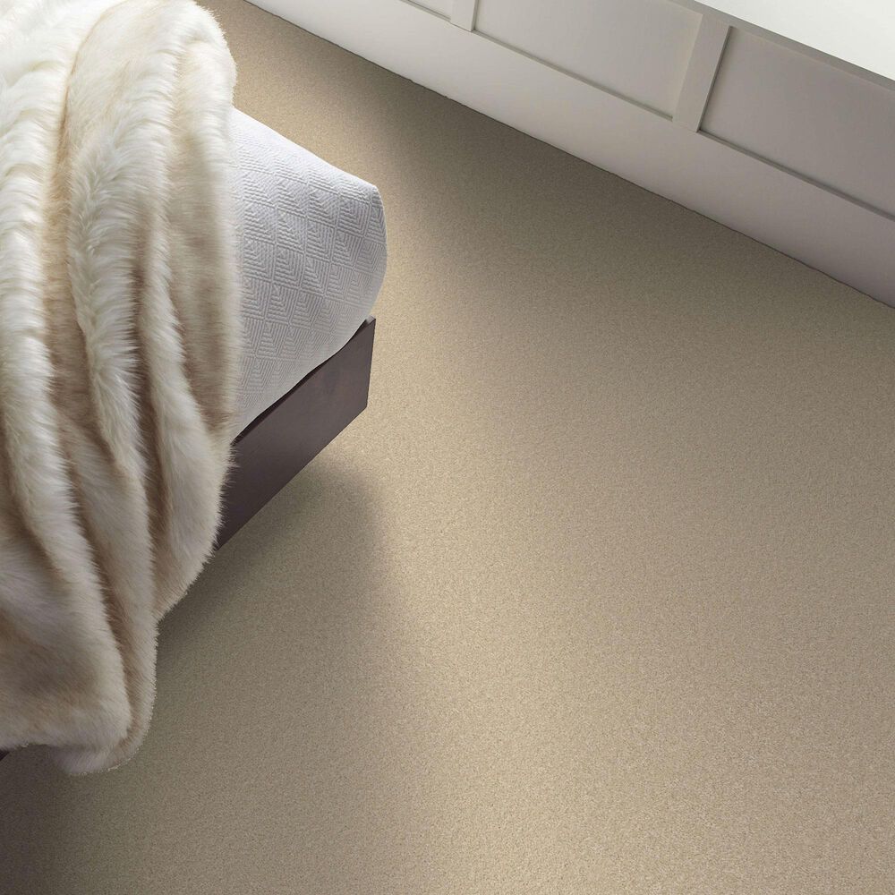 Shaw Way To Go II Carpet in Warm Breeze, , large