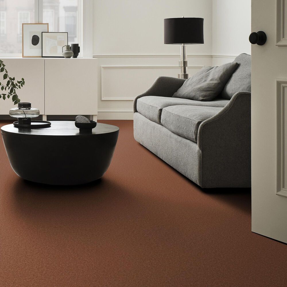 Anderson Tuftex Elegant Beauty Carpet in Clay, , large