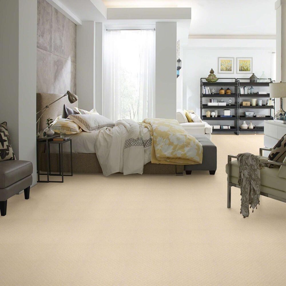 Anderson Tuftex Off Leash Carpet in Antiquity, , large