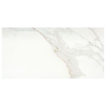 Emser Nobleza Lugo 12" x 24" Porcelain Tile, , large