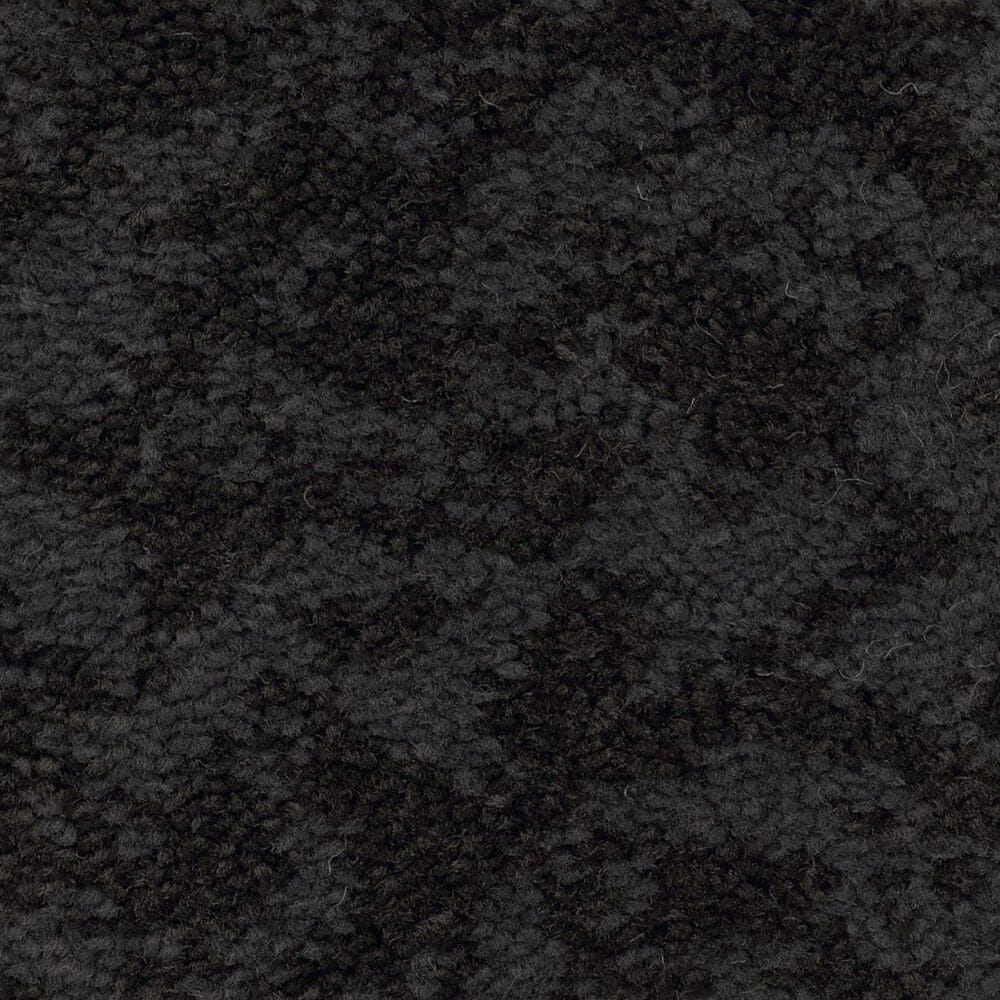 Anderson Tuftex Caress Free Spirit Carpet in Wrought Iron, , large