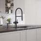 Blanco Catris Flexo Filter Semi-Pro 1.5 GPM Kitchen Faucet - Matte Black, , large