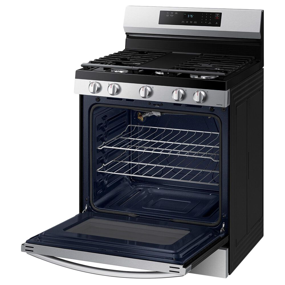 Samsung 6 Cu. Ft. Freestanding Gas Range with Self Clean in Stainless