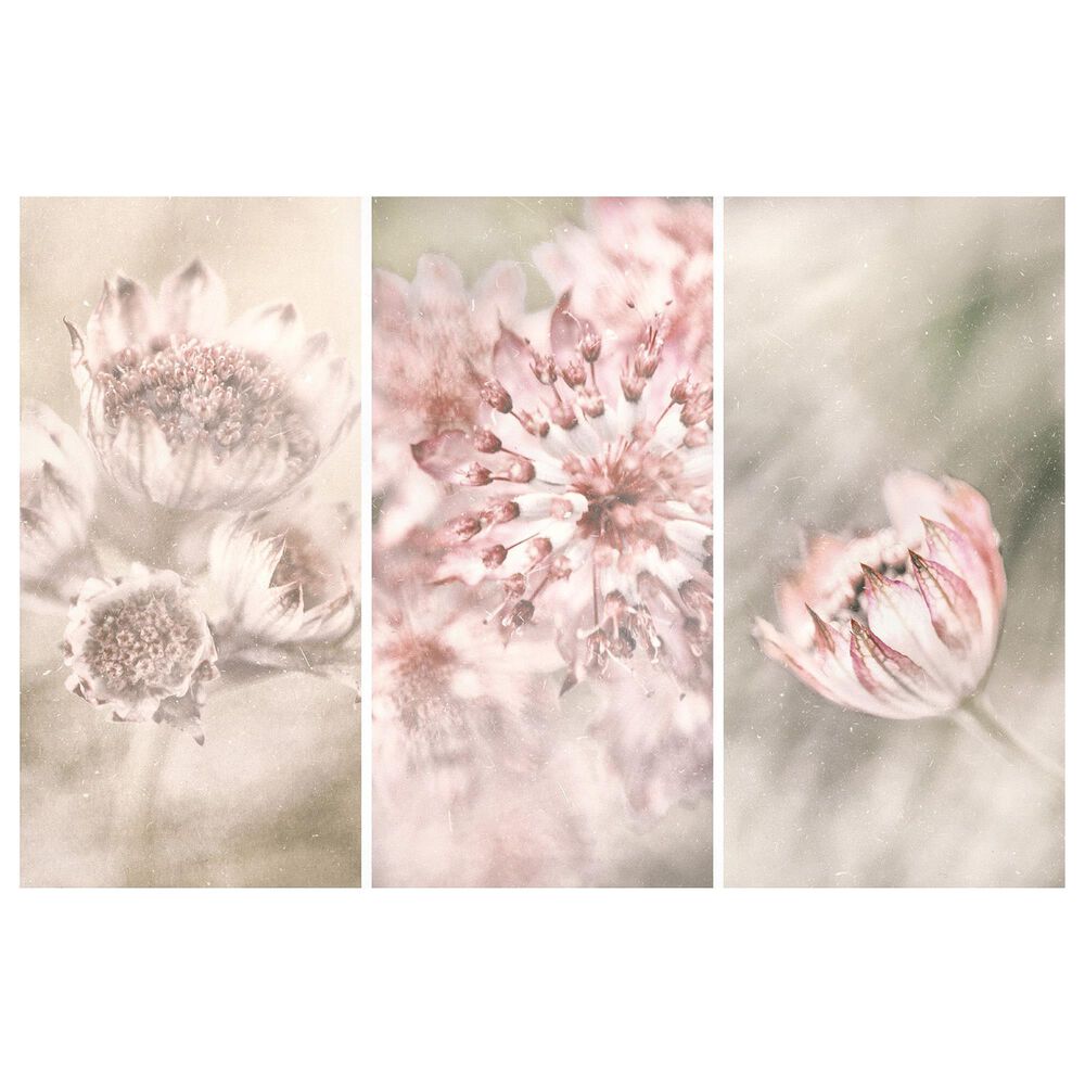 Timberlake Gustav Davidsson 'Pink Floral Panels' 30" x 47" Canvas Art, , large