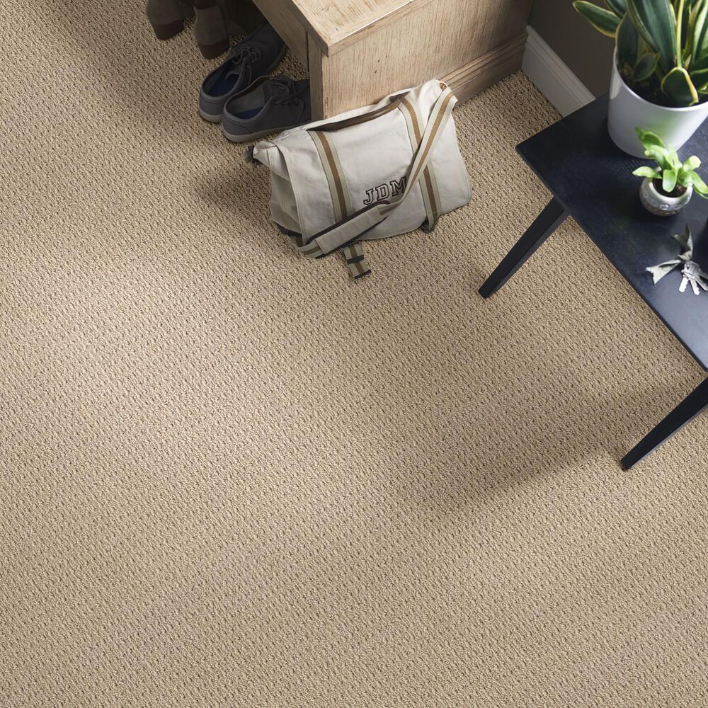 Anderson Tuftex Truly Delightful Carpet in Fine Sand, , large
