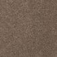 Mohawk Windsor Gardens I Carpet in Pine Cone, , large