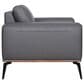 37B Pietro Stationary Leather Chair in Gray, , large