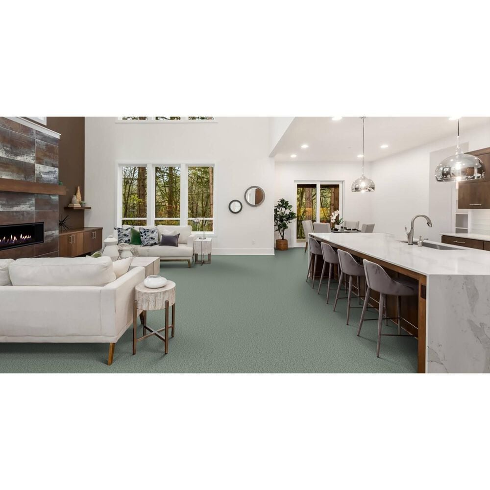 Masland Miami Carpet in Cedar Grove, , large
