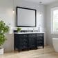 James Martin Vanities Brittany 48" Single Bathroom Vanity in Black Onyx with 3 cm White Zeus Quartz Top and Rectangular Sink, , large