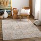 Surya Reina Light Gray, Denim, Cream, Tan, Light Brown, Rust, Mustard and Olive 12" x 15" Area Rug, , large