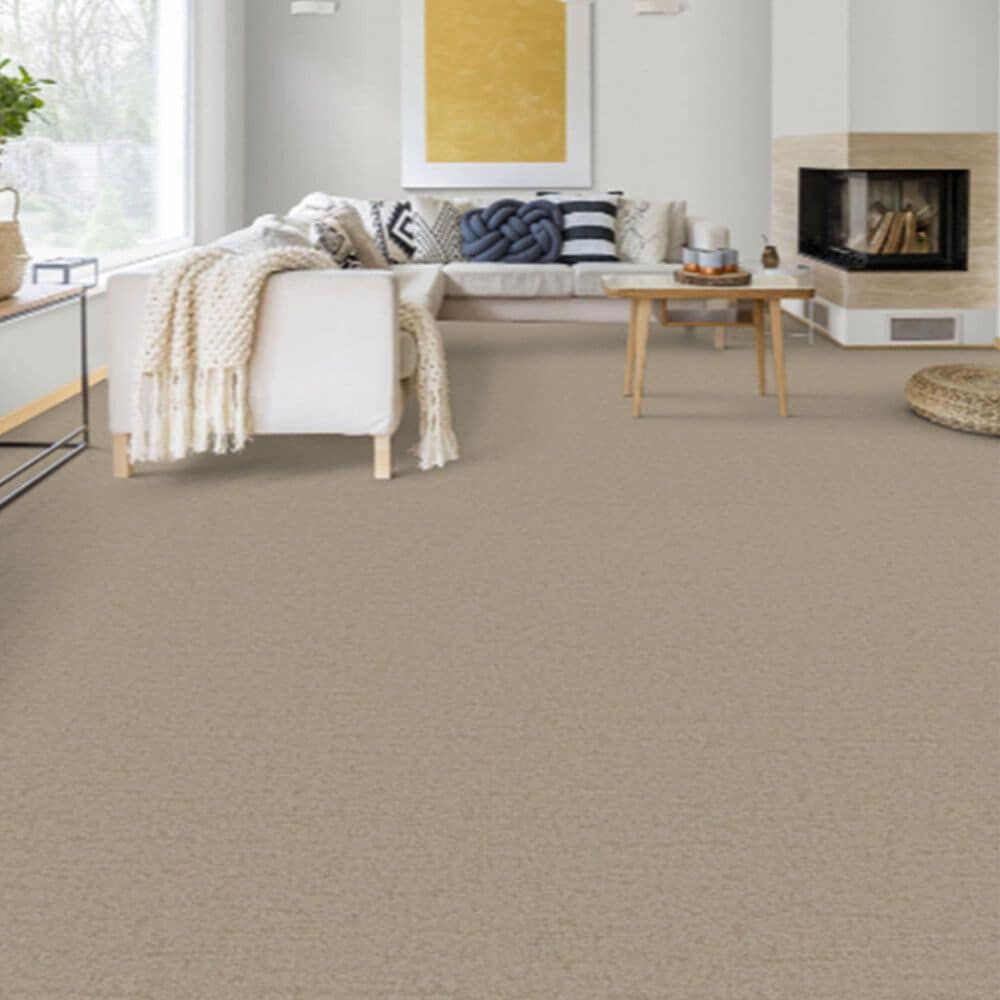 Dixie Home Genuine Carpet in Aboveboard, , large