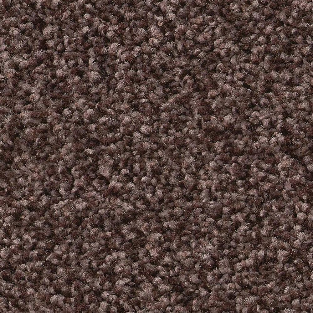 Shaw Tonal Comfort Ii Carpet in Winery, , large
