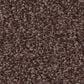 Shaw Tonal Comfort Ii Carpet in Winery, , large
