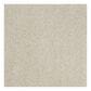 Shaw Phenomenal Carpet in Canvas, , large