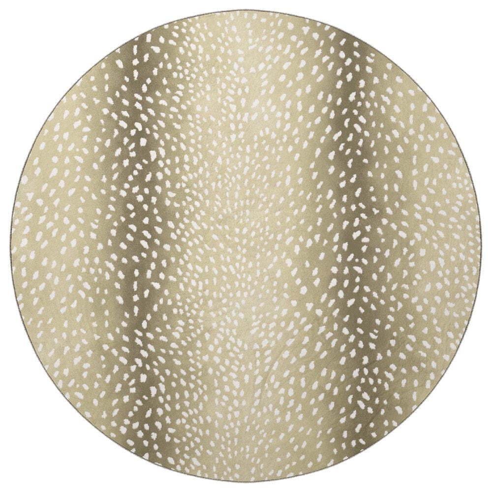 Dalyn Rug Company Akina 8" Round Stone Area Rug, , large