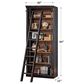 Wycliff Bay Toulouse Bookcase with Ladder in Aged Ebony and Warm Honey, , large