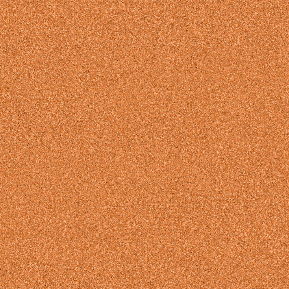 Shaw The Bright Side Carpet in Orange You Glad, , large