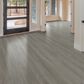 Shaw Dwell Hearthstone Grey 9" x 60" Luxury Vinyl Plank, , large