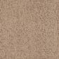 Fabrica Luxe Carpet in Jasper, , large