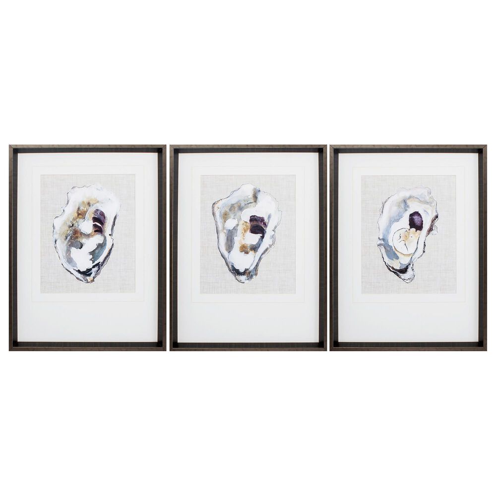 Propac "Oyster Shell Study" Wall Art in Neutral (Set of 3), , large
