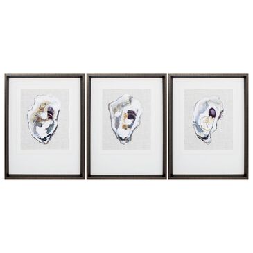 Propac "Oyster Shell Study" Wall Art in Neutral (Set of 3), , large