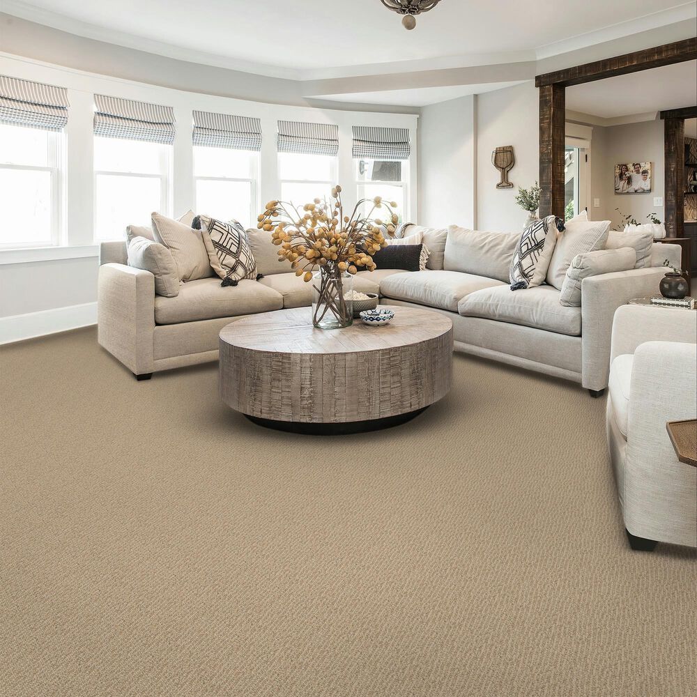 Karastan Imbue Carpet in Bonomi, , large