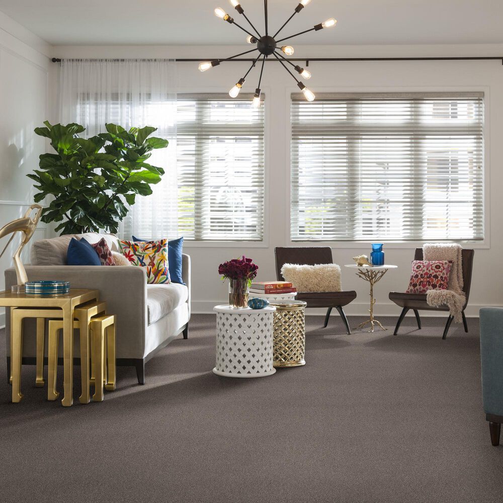 Philadelphia Caress by Shaw Cozy Harbor II Carpet in Stucco, , large