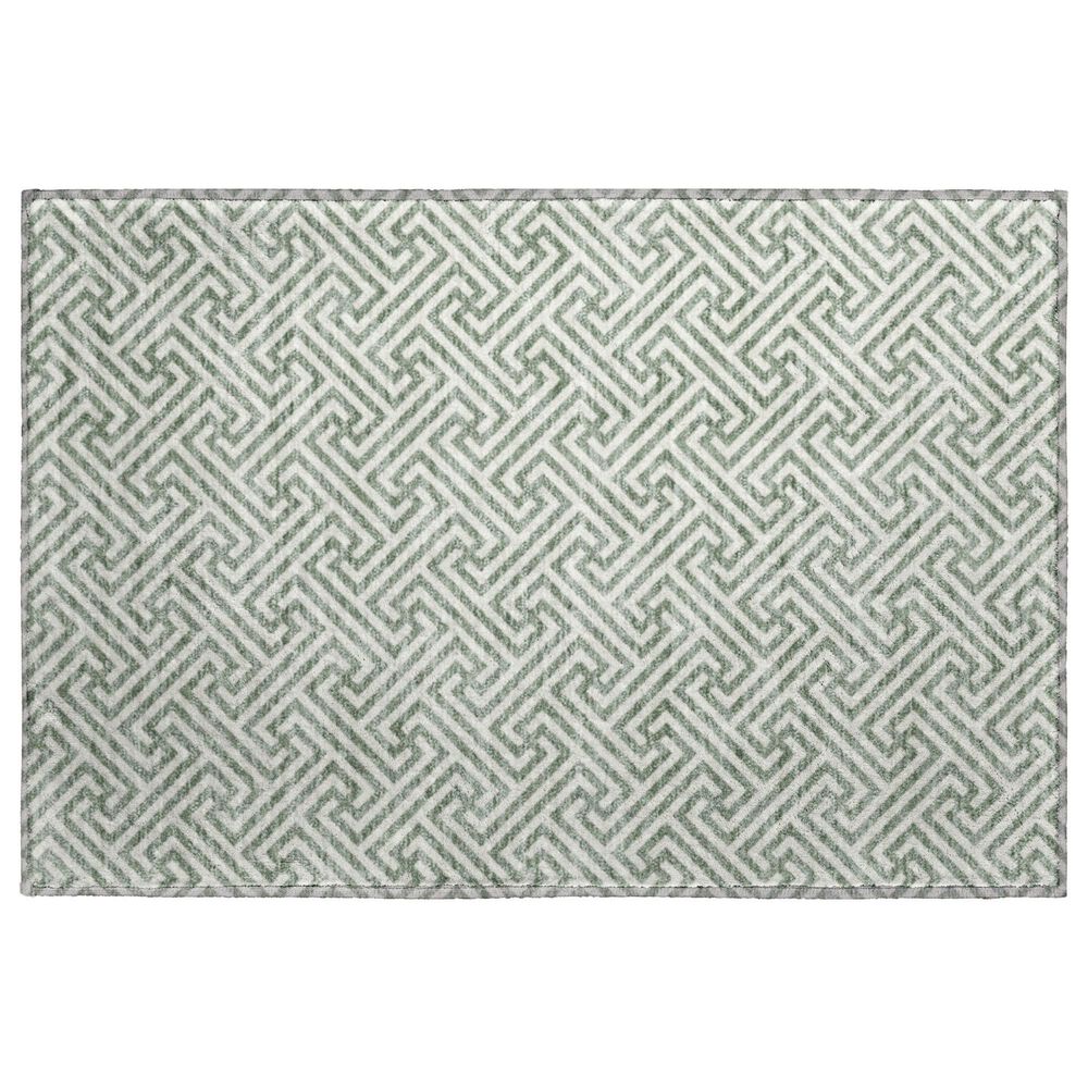 Dalyn Rug Company The Reserve TR5 Sage 2"6" x 3"10" Indoor/Outdoor Area Rug, , large