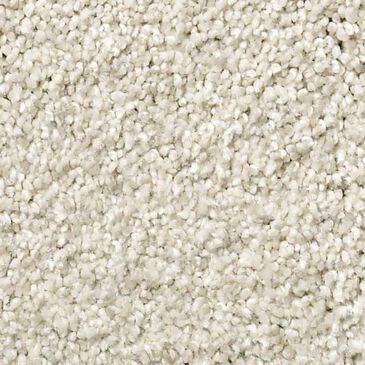 Shaw Tonal Comfort Ii Carpet in Champagne Toast, , large
