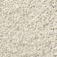 Shaw Tonal Comfort Ii Carpet in Champagne Toast, , large
