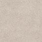 Fabrica Tribute Carpet in Abrash, , large